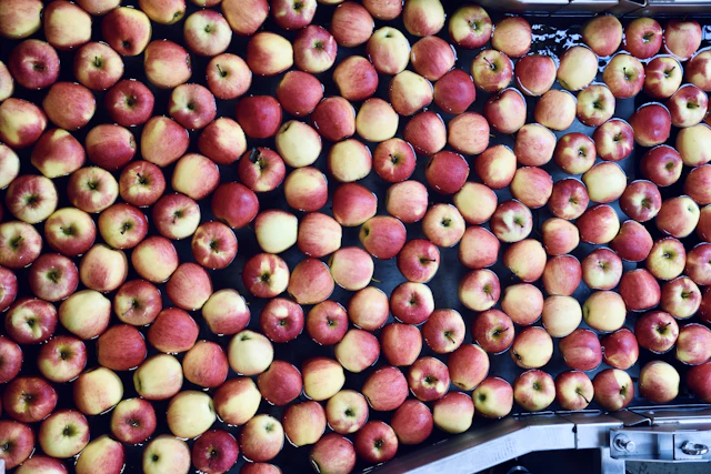 Apples in production, illustrating a food product-data inquiry.